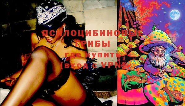 прущий лед Михайловск