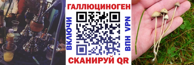 Галлюциногенные грибы Magic Shrooms  darknet клад  Опочка 